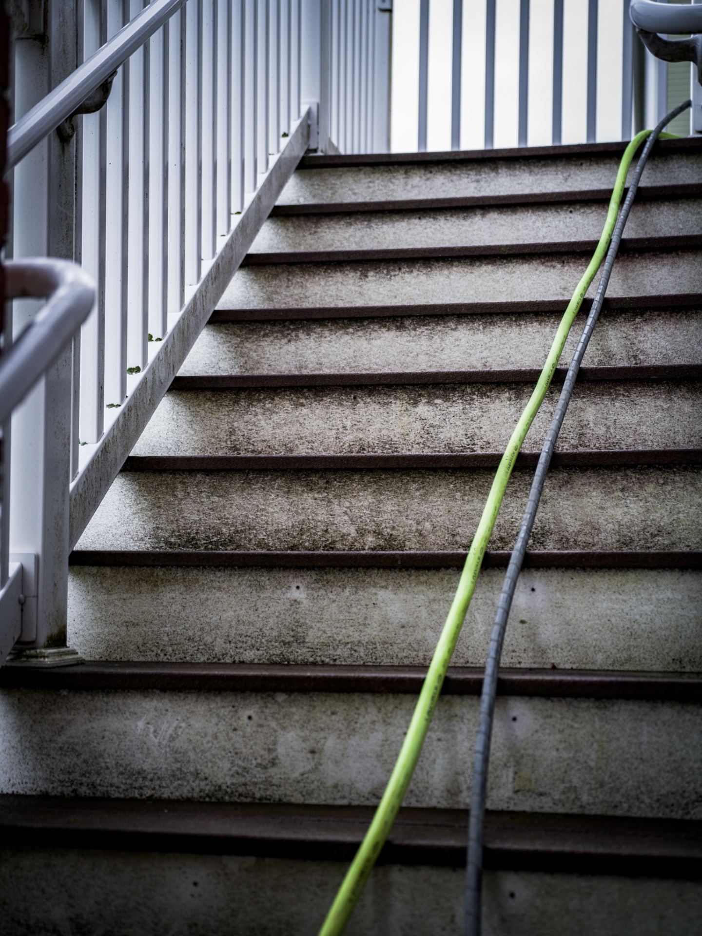 Stained, dirty concrete stairs with algae before pressure washing